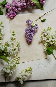 A springtime atmosphere with lilac