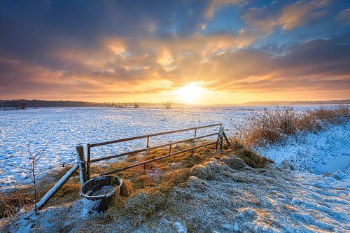 Winter in Drenthe met een mooie zonsopkomst en sneeuw over de weilanden.