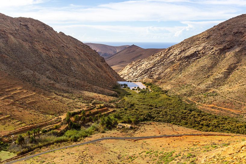 Landschap met vulkanisch gebergte en stuwmeer in Fuerteventura van Reiner Conrad