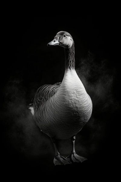 Gans von Poster Art Shop