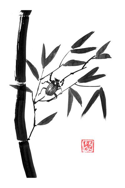 bamboo and beetle von Péchane Sumie