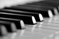 Image en noir et blanc d'une touche de piano par Falko Follert Aperçu