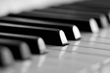 Image en noir et blanc d'une touche de piano
