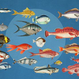 Something Fishy Going On van Marja van den Hurk
