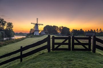 De Vlinder van Jochem van der Blom