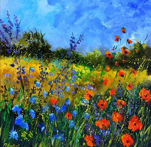 Rote Poppies und blaue Cornflowers