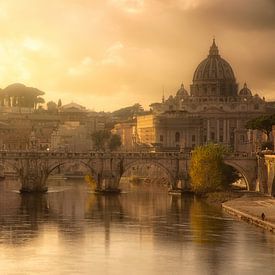 View on Rome - Italy by Bas Meelker
