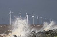 Windpark Westermeerwind van Ruud van der Lubben thumbnail