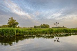 Weerribben-Wieden nature reserve landscape  by Sjoerd van der Wal Photography