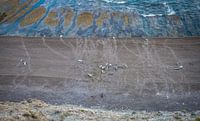 Elephant seal beach van BL Photography thumbnail