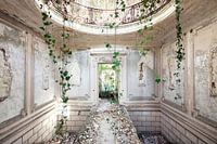 Abandoned places - Castle with ivy
