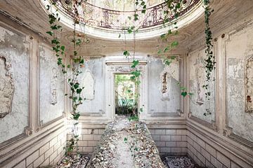 Abandoned places - Castle with ivy by Times of Impermanence