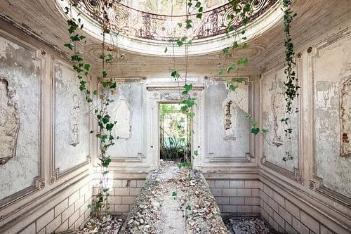 Abandoned places - Castle with ivy by Times of Impermanence