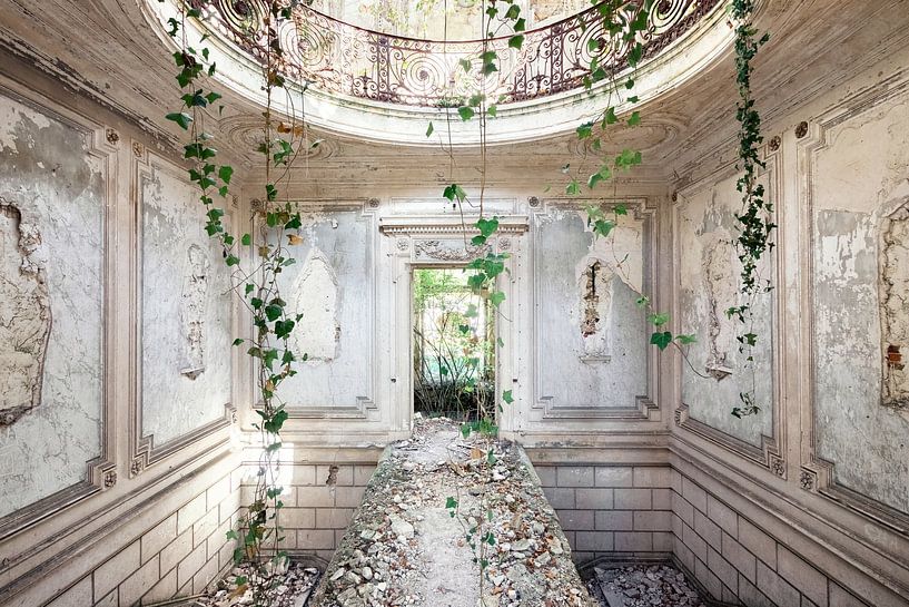 Lieux abandonnés - Château avec lierre par Times of Impermanence