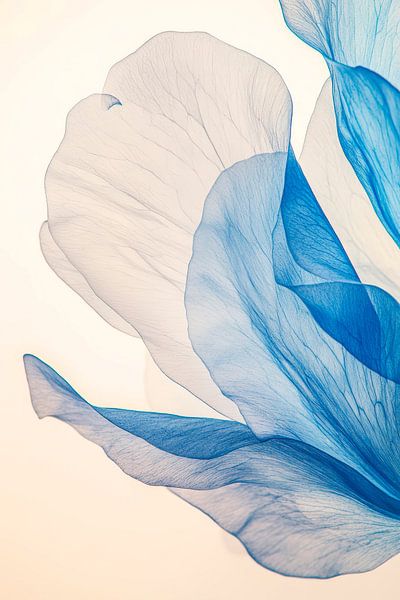 Délicats pétales bleus dans la lumière par Poster Art Shop