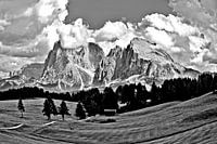 Vue sur le Seiser Alm en direction de Langkofel