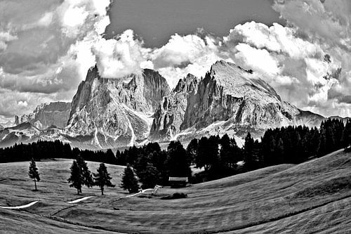 Blick über die Seiser Alm in Richtung Langkofel