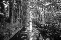 Rivier met bomen - zwart-wit