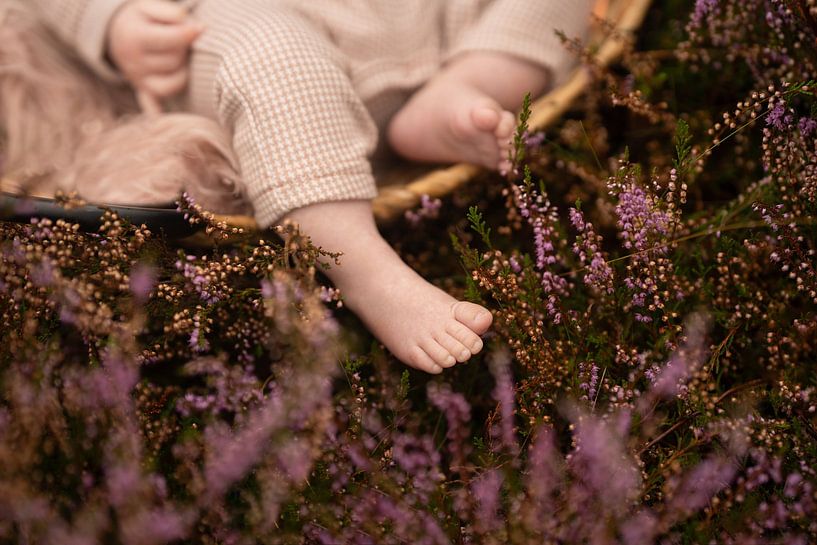 Cute baby feet by Special Moments MvL