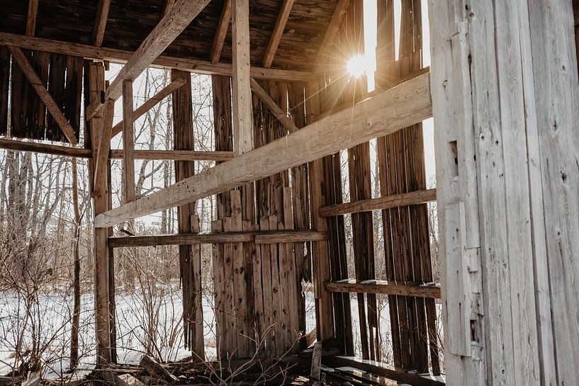 Barn by Nadeche Lubberink