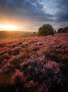 Posbank Sonnenaufgang von Mario Visser