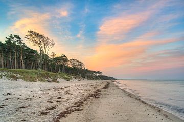 s Ochtends op het Darßer Weststrand