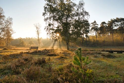 Bankje in de natuur