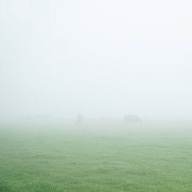 mistig weiland met vage koeien in de verte van Karin in't Hout