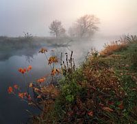 Autumn morning on a foggy river