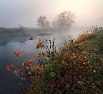 Herbstmorgen an einem nebligen Fluss