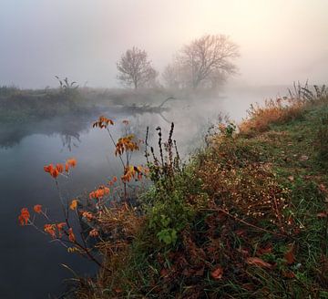 Herfstochtend op een mistige rivier van Stanislav Salamanov