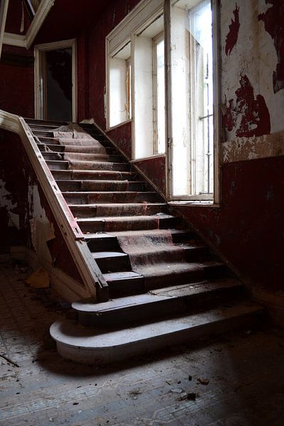 Stairway to Heaven by Dimitri Declercq