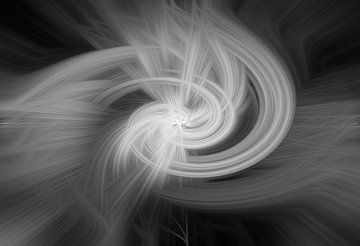 Abstracte draai in een zwart witte creatie