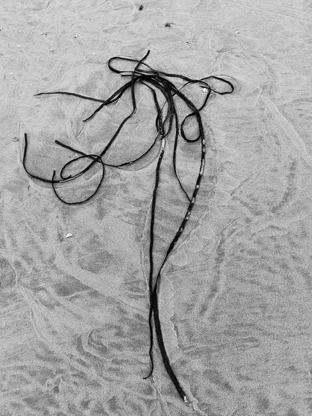Charmante Dame op het strand_Schierblikken_RW_#9 by Bernadette van Beurten | ideeënkunstenaar| SCHIERBLIKKEN |