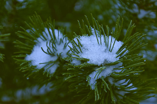takje met sneeuw