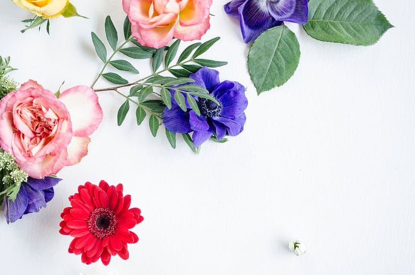 Gerbera Transvaal Daisy, Roses et Anémones par Nicole Schyns