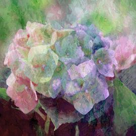 Hortensie von Andreas Wemmje