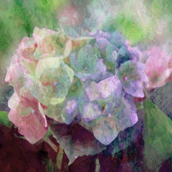 Hydrangea by Andreas Wemmje