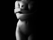 Torso einer nackten Frau in Low-Key von Art By Dominic Miniaturansicht