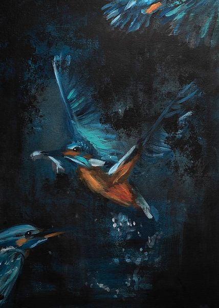 Als ijsvogels vlogen in de nacht van Linda van Schie