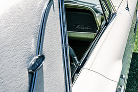 Ford Thunderbird: A logo with a history by Karsten Rahn