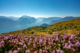 Enchanting view of Lake Como by Leo Schindzielorz