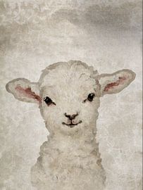 Sweet Lamb | A portrait of a lamb in the pastel colour beige by Wil Vervenne