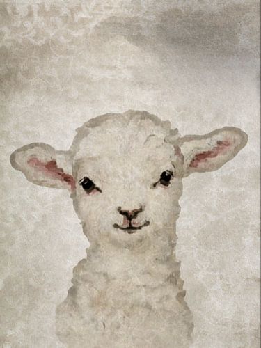 Sweet Lamb | A portrait of a lamb in the pastel colour beige