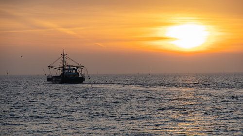 zonsopkomst oosterschelde