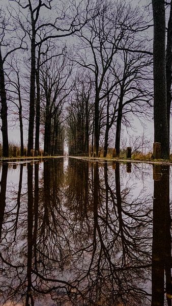 mirrors by Carlo Snel