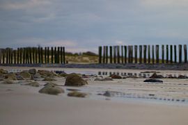 Breakwaters on the North Sea beach by Chantal