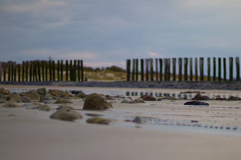 Brise-lames sur la plage de la mer du Nord par Chantal