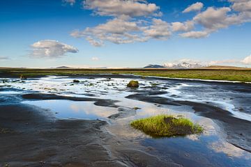 Reflektionen im Hochmoor von Denis Feiner