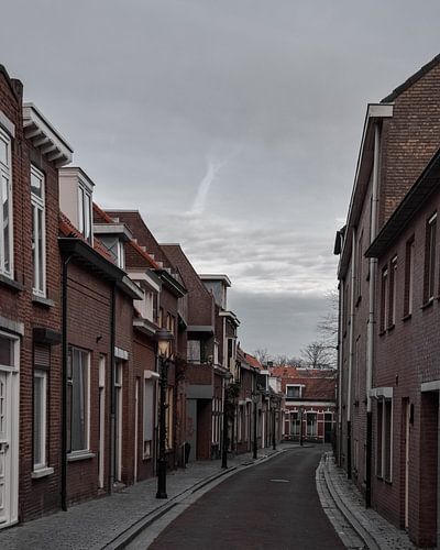 Bergen op Zoom during the winter